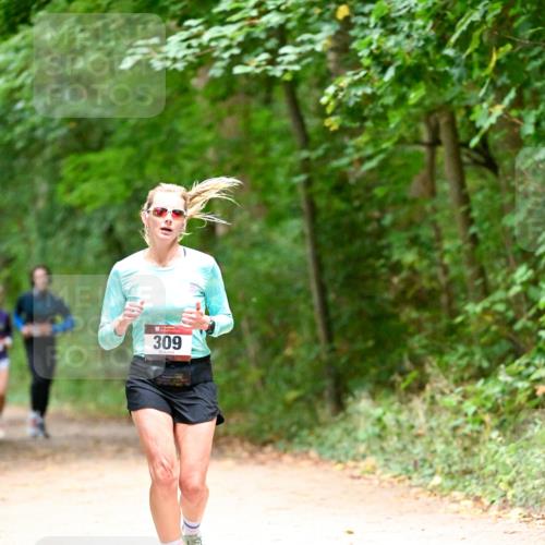 11.10.2026 - Bramfelder Halbmarathon 2026 Dr. Thomas Lammeyer http://msf.ph/oto/10820037 11.10.2026 10:18:57 Laufen 309 meine-sportfotos.de