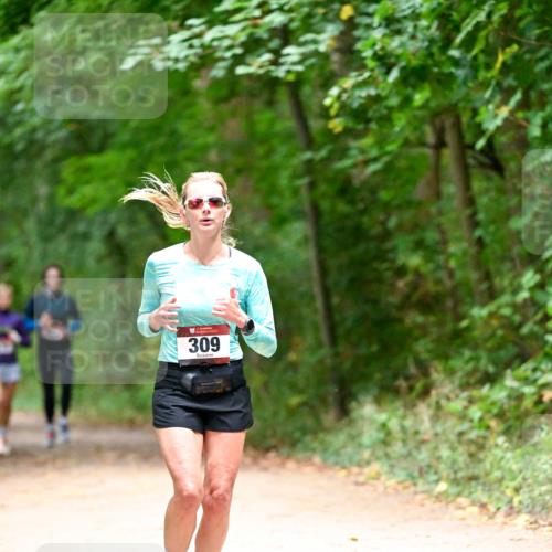 11.10.2026 - Bramfelder Halbmarathon 2026 Dr. Thomas Lammeyer http://msf.ph/oto/10820040 11.10.2026 10:18:57 Laufen 309 meine-sportfotos.de