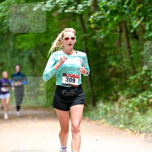 11.10.2026 - Bramfelder Halbmarathon 2026 Dr. Thomas Lammeyer http://msf.ph/oto/10820044 11.10.2026 10:18:58 Laufen 309 meine-sportfotos.de