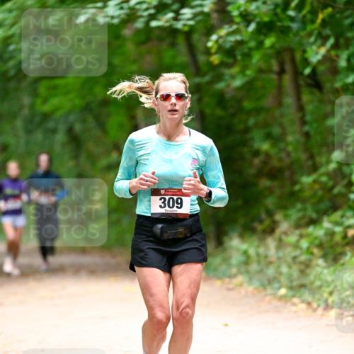 11.10.2026 - Bramfelder Halbmarathon 2026 Dr. Thomas Lammeyer http://msf.ph/oto/10820045 11.10.2026 10:18:58 Laufen 309 meine-sportfotos.de
