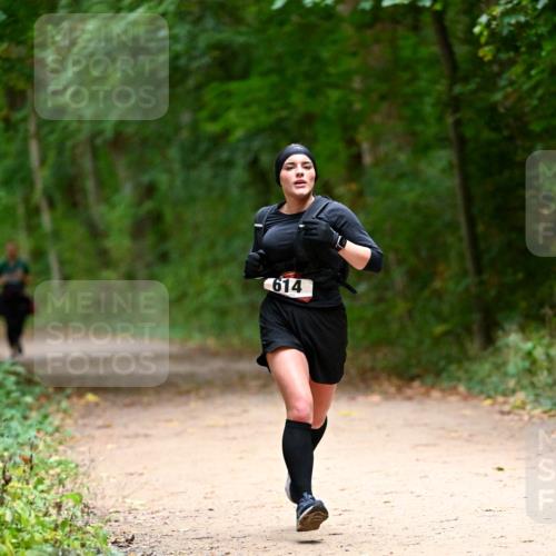 11.10.2026 - Bramfelder Halbmarathon 2026 Dr. Thomas Lammeyer http://msf.ph/oto/10820084 11.10.2026 10:19:09 Laufen 614 meine-sportfotos.de