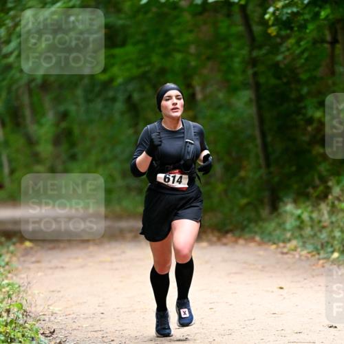 11.10.2026 - Bramfelder Halbmarathon 2026 Dr. Thomas Lammeyer http://msf.ph/oto/10820086 11.10.2026 10:19:09 Laufen 614 meine-sportfotos.de
