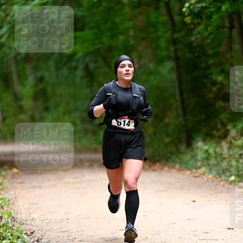 11.10.2026 - Bramfelder Halbmarathon 2026 Dr. Thomas Lammeyer http://msf.ph/oto/10820087 11.10.2026 10:19:09 Laufen 614 meine-sportfotos.de