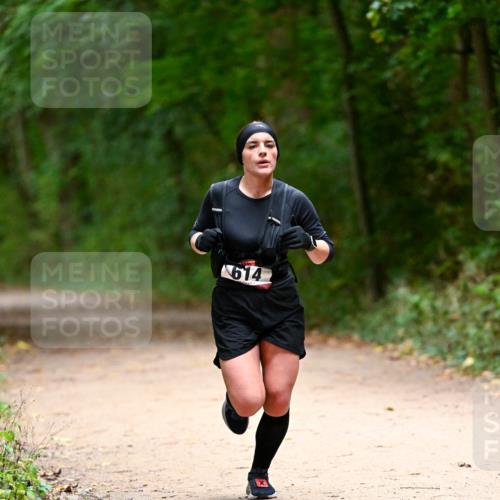 11.10.2026 - Bramfelder Halbmarathon 2026 Dr. Thomas Lammeyer http://msf.ph/oto/10820088 11.10.2026 10:19:10 Laufen 614 meine-sportfotos.de