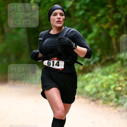 11.10.2026 - Bramfelder Halbmarathon 2026 Dr. Thomas Lammeyer http://msf.ph/oto/10820100 11.10.2026 10:19:11 Laufen 614 meine-sportfotos.de