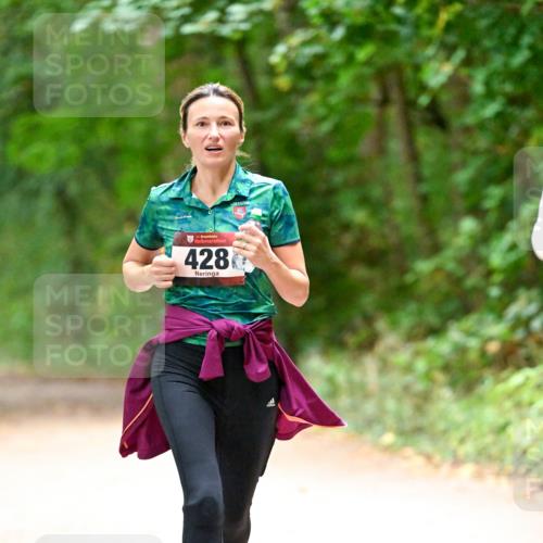 11.10.2026 - Bramfelder Halbmarathon 2026 Dr. Thomas Lammeyer http://msf.ph/oto/10820126 11.10.2026 10:19:23 Laufen 428 meine-sportfotos.de