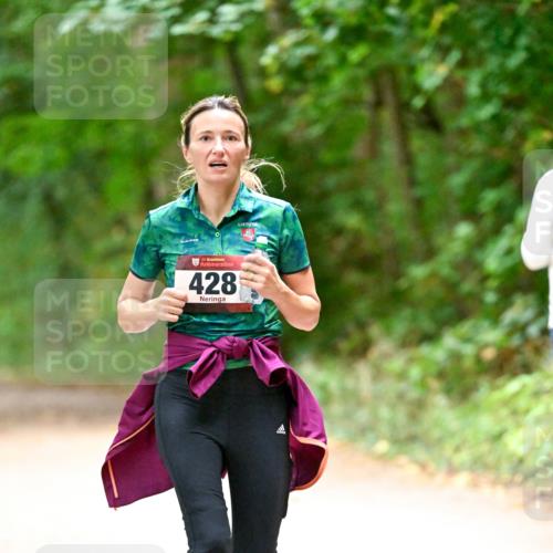 11.10.2026 - Bramfelder Halbmarathon 2026 Dr. Thomas Lammeyer http://msf.ph/oto/10820127 11.10.2026 10:19:23 Laufen 35, 428 meine-sportfotos.de