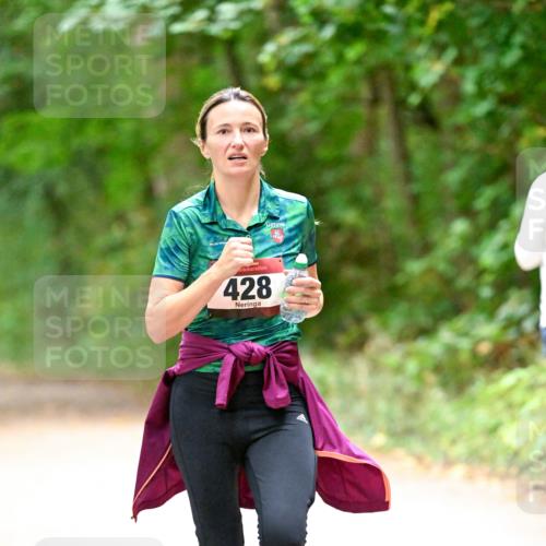 11.10.2026 - Bramfelder Halbmarathon 2026 Dr. Thomas Lammeyer http://msf.ph/oto/10820128 11.10.2026 10:19:23 Laufen 428 meine-sportfotos.de