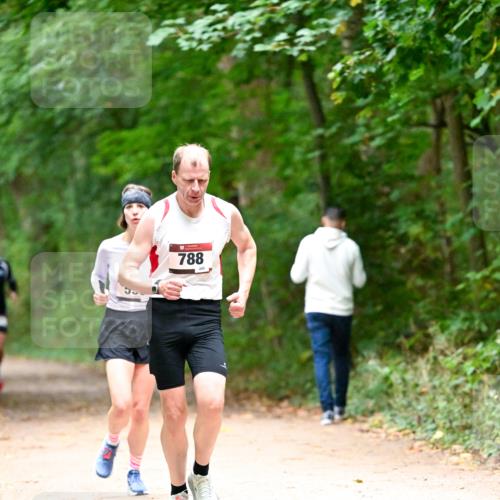11.10.2026 - Bramfelder Halbmarathon 2026 Dr. Thomas Lammeyer http://msf.ph/oto/10820141 11.10.2026 10:19:33 Laufen 788, 245 meine-sportfotos.de