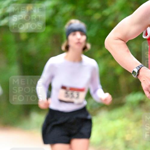11.10.2026 - Bramfelder Halbmarathon 2026 Dr. Thomas Lammeyer http://msf.ph/oto/10820162 11.10.2026 10:19:37 Laufen  meine-sportfotos.de