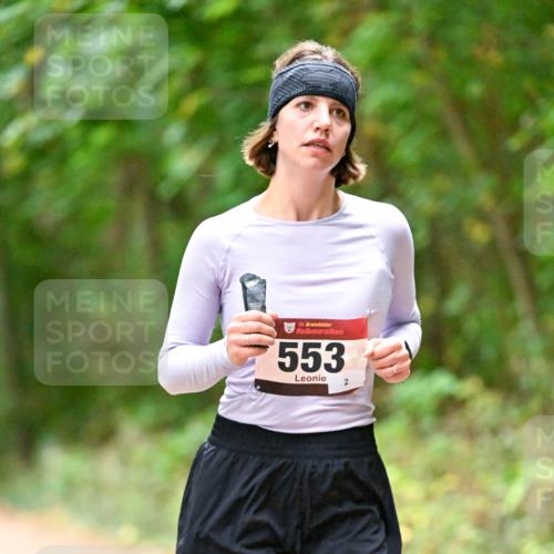 11.10.2026 - Bramfelder Halbmarathon 2026 Dr. Thomas Lammeyer http://msf.ph/oto/10820165 11.10.2026 10:19:37 Laufen 35, 553, 2 meine-sportfotos.de