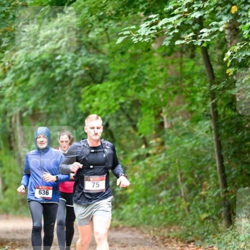 11.10.2026 - Bramfelder Halbmarathon 2026 Dr. Thomas Lammeyer http://msf.ph/oto/10820216 11.10.2026 10:20:15 Laufen 636, 75 meine-sportfotos.de