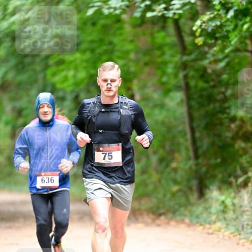 11.10.2026 - Bramfelder Halbmarathon 2026 Dr. Thomas Lammeyer http://msf.ph/oto/10820228 11.10.2026 10:20:17 Laufen 636, 75 meine-sportfotos.de
