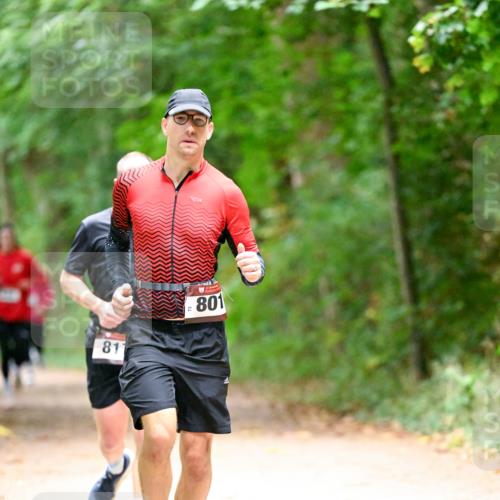 11.10.2026 - Bramfelder Halbmarathon 2026 Dr. Thomas Lammeyer http://msf.ph/oto/10820286 11.10.2026 10:20:41 Laufen 811, 801 meine-sportfotos.de