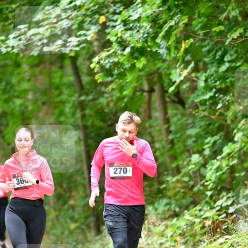 11.10.2026 - Bramfelder Halbmarathon 2026 Dr. Thomas Lammeyer http://msf.ph/oto/10820328 11.10.2026 10:20:52 Laufen 360, 270 meine-sportfotos.de