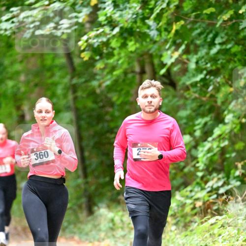 11.10.2026 - Bramfelder Halbmarathon 2026 Dr. Thomas Lammeyer http://msf.ph/oto/10820333 11.10.2026 10:20:53 Laufen 360 meine-sportfotos.de