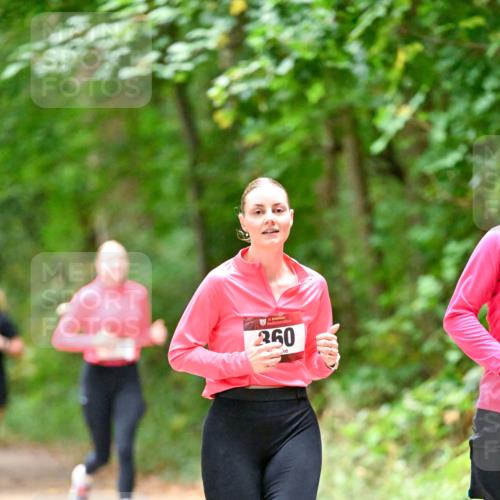 11.10.2026 - Bramfelder Halbmarathon 2026 Dr. Thomas Lammeyer http://msf.ph/oto/10820338 11.10.2026 10:20:54 Laufen 260 meine-sportfotos.de
