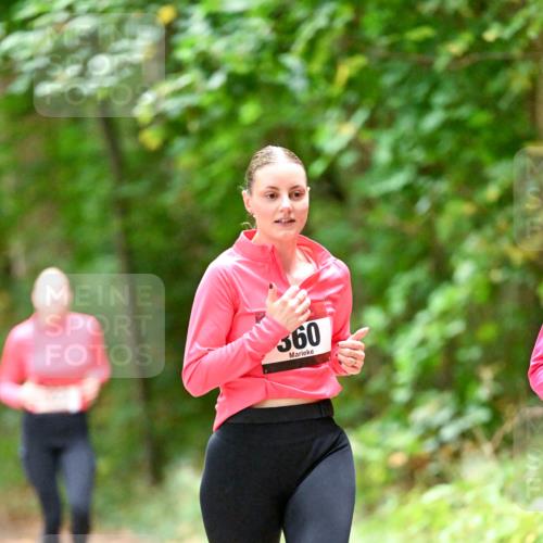 11.10.2026 - Bramfelder Halbmarathon 2026 Dr. Thomas Lammeyer http://msf.ph/oto/10820342 11.10.2026 10:20:55 Laufen 360 meine-sportfotos.de