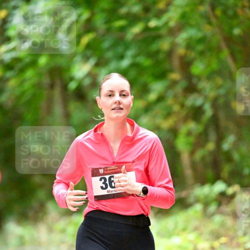 11.10.2026 - Bramfelder Halbmarathon 2026 Dr. Thomas Lammeyer http://msf.ph/oto/10820346 11.10.2026 10:20:55 Laufen 35, 36 meine-sportfotos.de
