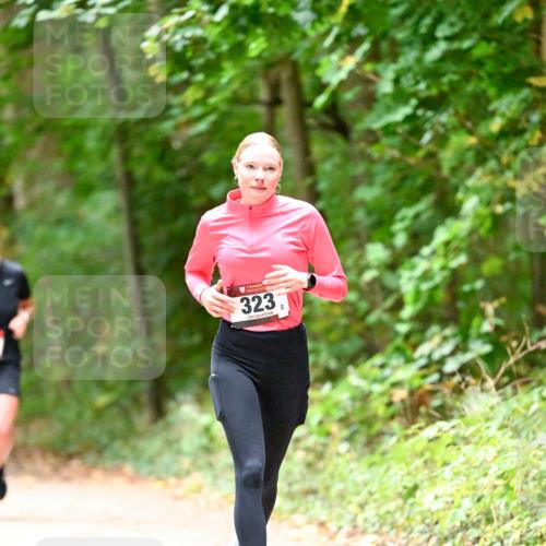 11.10.2026 - Bramfelder Halbmarathon 2026 Dr. Thomas Lammeyer http://msf.ph/oto/10820348 11.10.2026 10:20:57 Laufen 323 meine-sportfotos.de
