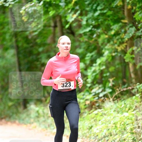 11.10.2026 - Bramfelder Halbmarathon 2026 Dr. Thomas Lammeyer http://msf.ph/oto/10820350 11.10.2026 10:20:57 Laufen 323 meine-sportfotos.de