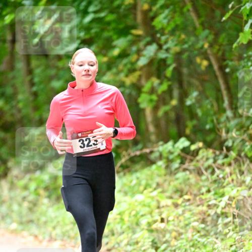 11.10.2026 - Bramfelder Halbmarathon 2026 Dr. Thomas Lammeyer http://msf.ph/oto/10820354 11.10.2026 10:20:57 Laufen 323 meine-sportfotos.de
