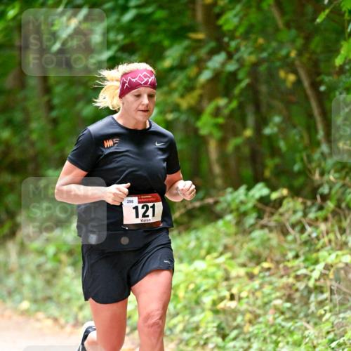 11.10.2026 - Bramfelder Halbmarathon 2026 Dr. Thomas Lammeyer http://msf.ph/oto/10820367 11.10.2026 10:21:00 Laufen 298, 35, 121 meine-sportfotos.de