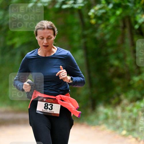 11.10.2026 - Bramfelder Halbmarathon 2026 Dr. Thomas Lammeyer http://msf.ph/oto/10820370 11.10.2026 10:21:02 Laufen 35, 83 meine-sportfotos.de