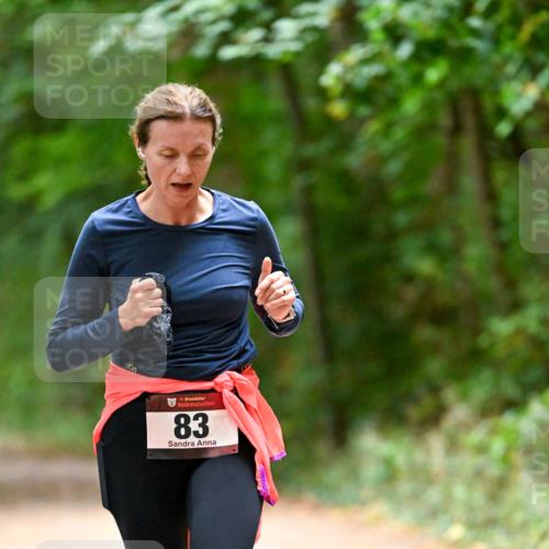 11.10.2026 - Bramfelder Halbmarathon 2026 Dr. Thomas Lammeyer http://msf.ph/oto/10820371 11.10.2026 10:21:02 Laufen 83 meine-sportfotos.de