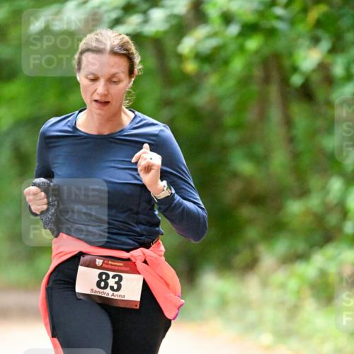 11.10.2026 - Bramfelder Halbmarathon 2026 Dr. Thomas Lammeyer http://msf.ph/oto/10820374 11.10.2026 10:21:02 Laufen 35, 83 meine-sportfotos.de