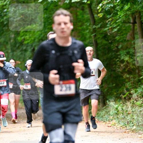 11.10.2026 - Bramfelder Halbmarathon 2026 Dr. Thomas Lammeyer http://msf.ph/oto/10820470 11.10.2026 10:21:38 Laufen 362, 79, 239, 4 meine-sportfotos.de
