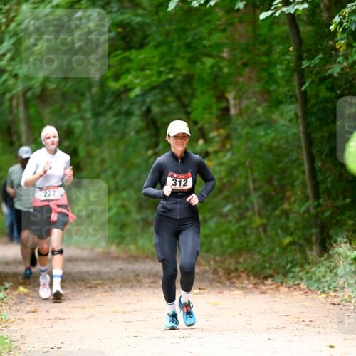 11.10.2026 - Bramfelder Halbmarathon 2026 Dr. Thomas Lammeyer http://msf.ph/oto/10820527 11.10.2026 10:21:57 Laufen 227, 312 meine-sportfotos.de