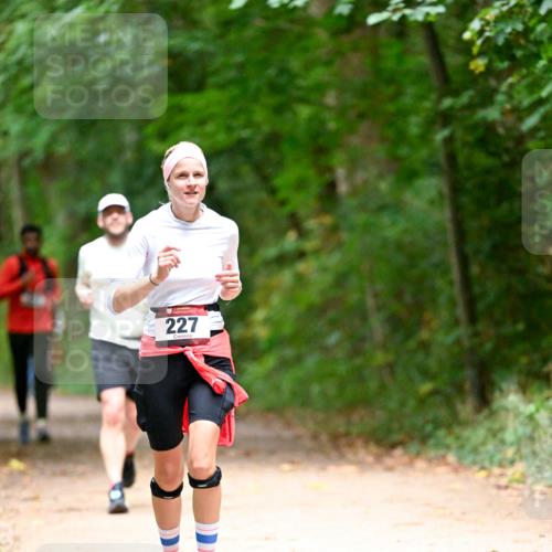 11.10.2026 - Bramfelder Halbmarathon 2026 Dr. Thomas Lammeyer http://msf.ph/oto/10820550 11.10.2026 10:22:01 Laufen 227 meine-sportfotos.de