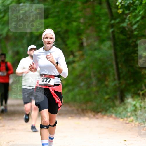 11.10.2026 - Bramfelder Halbmarathon 2026 Dr. Thomas Lammeyer http://msf.ph/oto/10820553 11.10.2026 10:22:02 Laufen 227 meine-sportfotos.de