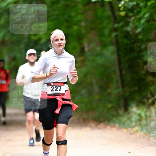 11.10.2026 - Bramfelder Halbmarathon 2026 Dr. Thomas Lammeyer http://msf.ph/oto/10820556 11.10.2026 10:22:02 Laufen 227 meine-sportfotos.de