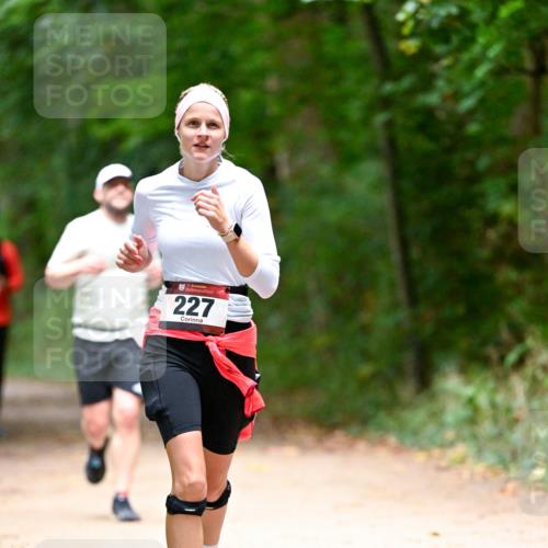 11.10.2026 - Bramfelder Halbmarathon 2026 Dr. Thomas Lammeyer http://msf.ph/oto/10820558 11.10.2026 10:22:02 Laufen 227 meine-sportfotos.de