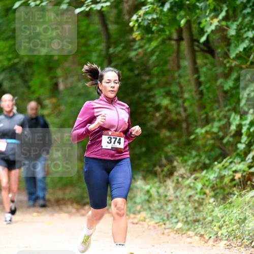 11.10.2026 - Bramfelder Halbmarathon 2026 Dr. Thomas Lammeyer http://msf.ph/oto/10820620 11.10.2026 10:22:24 Laufen 82, 374 meine-sportfotos.de