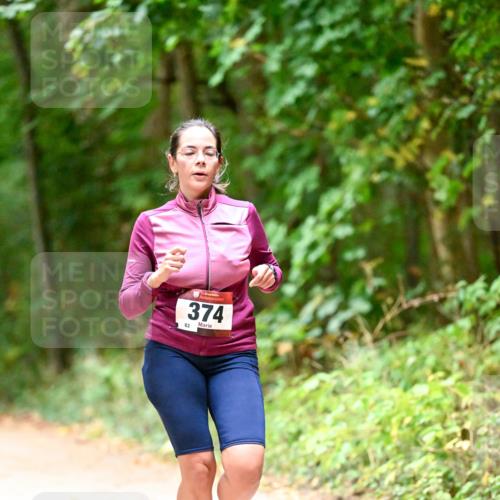 11.10.2026 - Bramfelder Halbmarathon 2026 Dr. Thomas Lammeyer http://msf.ph/oto/10820629 11.10.2026 10:22:25 Laufen 374, 82 meine-sportfotos.de