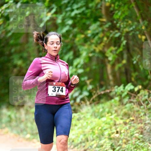11.10.2026 - Bramfelder Halbmarathon 2026 Dr. Thomas Lammeyer http://msf.ph/oto/10820631 11.10.2026 10:22:25 Laufen 374, 82 meine-sportfotos.de