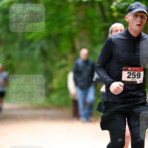 11.10.2026 - Bramfelder Halbmarathon 2026 Dr. Thomas Lammeyer http://msf.ph/oto/10820644 11.10.2026 10:22:28 Laufen 35, 259, 274 meine-sportfotos.de