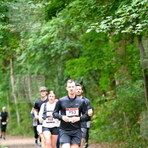 11.10.2026 - Bramfelder Halbmarathon 2026 Dr. Thomas Lammeyer http://msf.ph/oto/10820682 11.10.2026 10:22:45 Laufen 463, 253 meine-sportfotos.de