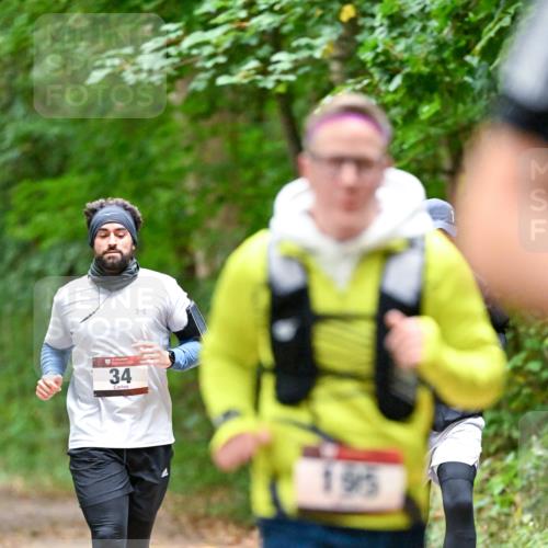 11.10.2026 - Bramfelder Halbmarathon 2026 Dr. Thomas Lammeyer http://msf.ph/oto/10820723 11.10.2026 10:22:54 Laufen 34, 09, 1915 meine-sportfotos.de