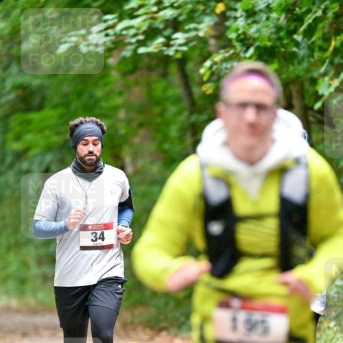 11.10.2026 - Bramfelder Halbmarathon 2026 Dr. Thomas Lammeyer http://msf.ph/oto/10820725 11.10.2026 10:22:54 Laufen 34, 195 meine-sportfotos.de