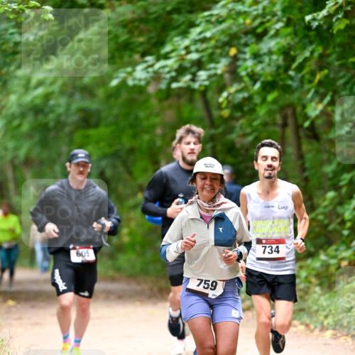 11.10.2026 - Bramfelder Halbmarathon 2026 Dr. Thomas Lammeyer http://msf.ph/oto/10820833 11.10.2026 10:23:21 Laufen 605, 759, 244, 734 meine-sportfotos.de