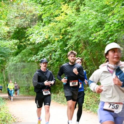 11.10.2026 - Bramfelder Halbmarathon 2026 Dr. Thomas Lammeyer http://msf.ph/oto/10820845 11.10.2026 10:23:23 Laufen 605, 452, 759 meine-sportfotos.de