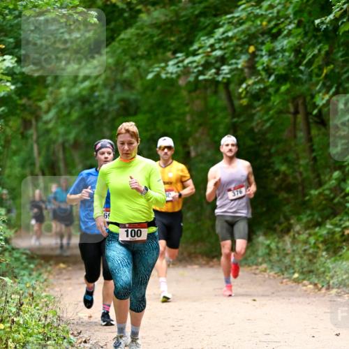 11.10.2026 - Bramfelder Halbmarathon 2026 Dr. Thomas Lammeyer http://msf.ph/oto/10820868 11.10.2026 10:23:30 Laufen 6, 100, 376 meine-sportfotos.de
