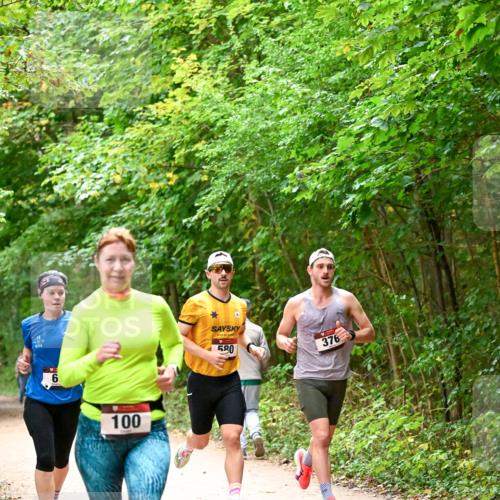 11.10.2026 - Bramfelder Halbmarathon 2026 Dr. Thomas Lammeyer http://msf.ph/oto/10820882 11.10.2026 10:23:32 Laufen 100, 580, 376 meine-sportfotos.de