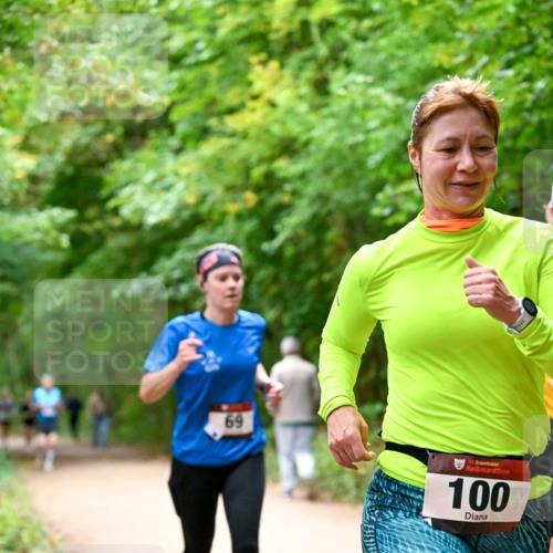 11.10.2026 - Bramfelder Halbmarathon 2026 Dr. Thomas Lammeyer http://msf.ph/oto/10820888 11.10.2026 10:23:33 Laufen 69, 35, 100 meine-sportfotos.de