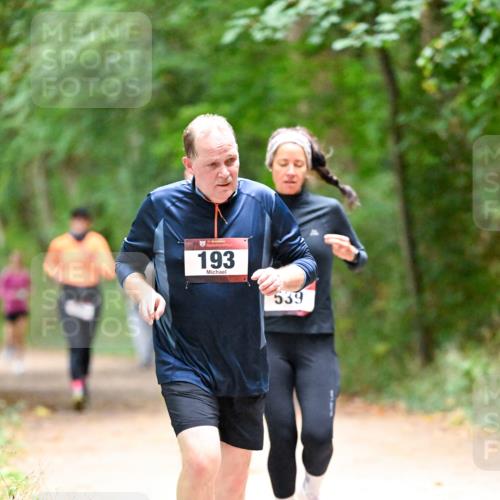 11.10.2026 - Bramfelder Halbmarathon 2026 Dr. Thomas Lammeyer http://msf.ph/oto/10821007 11.10.2026 10:24:00 Laufen 193, 539 meine-sportfotos.de