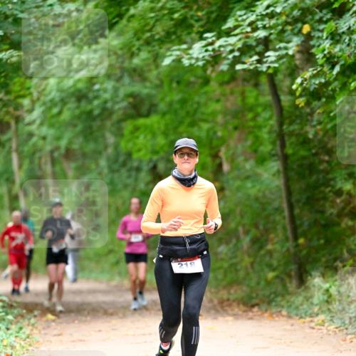 11.10.2026 - Bramfelder Halbmarathon 2026 Dr. Thomas Lammeyer http://msf.ph/oto/10821035 11.10.2026 10:24:05 Laufen 218 meine-sportfotos.de